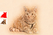 Fine Art Sketch Drawing Action, an Action Add-On by Photoshop Action (Thumbnail 6 of 10)
