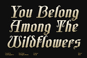 CS Maglite Drawn, a Serif Font by Craft Supply Co. (Thumbnail 4 of 8)