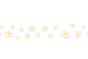 Seamless pattern of white daisy, an Object Illustration by GraphiShop