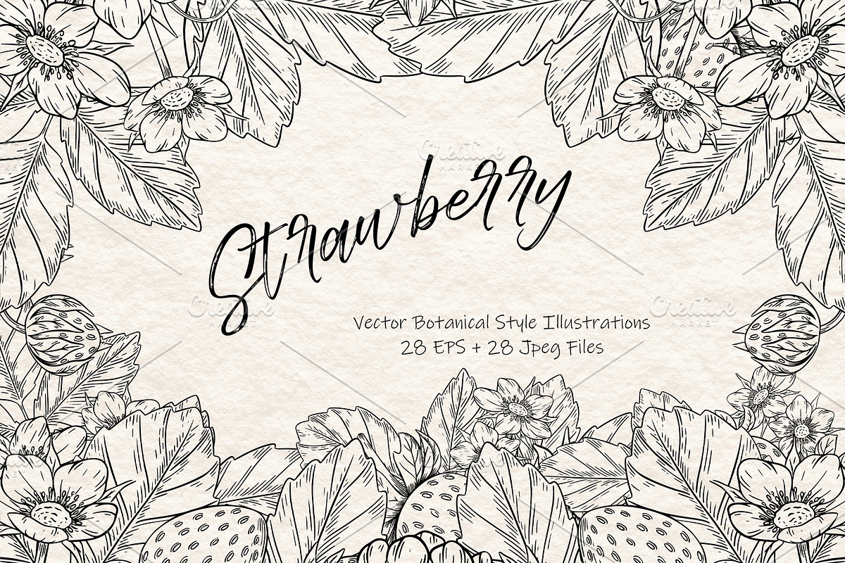 Strawberry Vector Ink Illustration, a Food Illustration by Milla_Zelenyuk_art (Photo 1 of 5)
