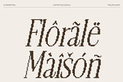 CS Remain Pixel, a Serif Font by Craft Supply Co. (Thumbnail 5 of 8)