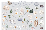 Salt Coral. Sea shell and flowers., an Object Illustration by ma_i_vi (Thumbnail 12 of 12)