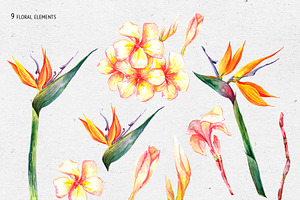 Strelitzia Watercolor Flowers