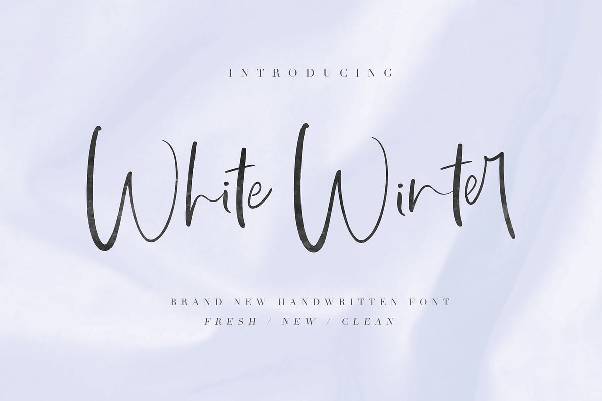 Wonderfull Font Collection, a Script Font by Chocotype Std (Photo 50 of 51)
