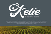 Abine - Display Script, a Script Font by Olexstudio (Thumbnail 7 of 7)