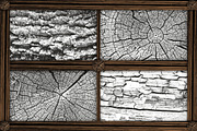 Old Wood | Texture Pack | 18 PNGs, a Texture Graphic by Artem Vorotnikov (Thumbnail 6 of 9)