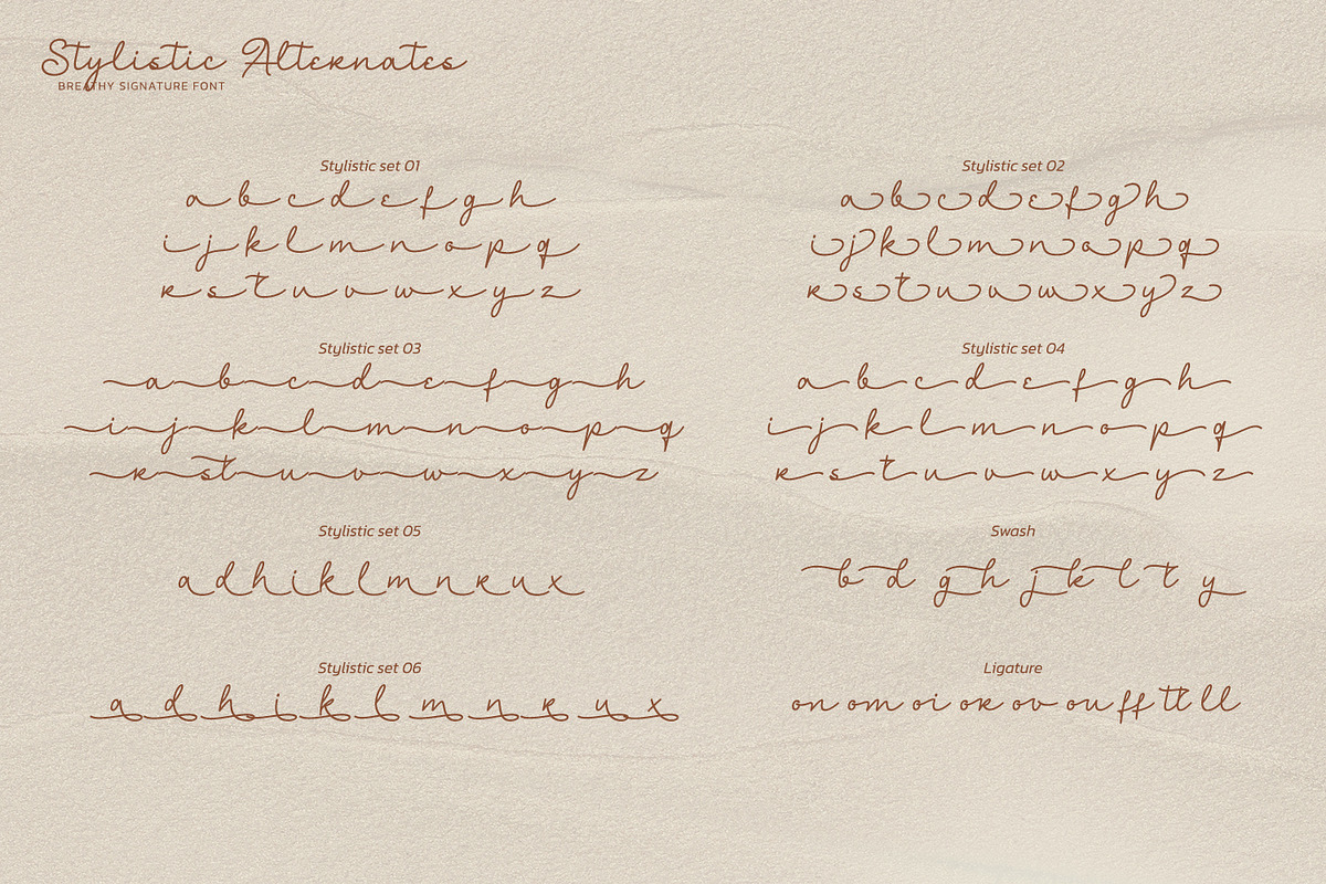 Breathy Signature, a Script Font by Nathatype (Photo 10 of 10)