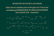 Belma Moghena - Decorative Serif, a Serif Font by Bring To Type (Thumbnail 10 of 10)