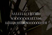 Rughato Wacner A Modern Serif Font, a Serif Font by Storytype Studio (Thumbnail 13 of 15)