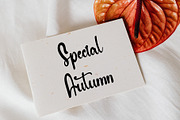 Sweet January, a Handwritten Font by FreshTypeINK (Thumbnail 6 of 7)