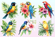 Tropical Birds Garden Clipart, a Graphic by CitraGraphics (Thumbnail 2 of 4)