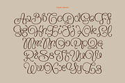 Flourel, a Script Font by Gleb Guralnyk (Thumbnail 9 of 11)