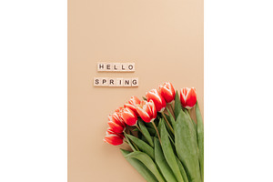 Hello spring concept. Tulip on beige, a Holiday Photo by Fascinadora