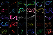 Glossy Waves Overlays, a Texture Graphic by PandoraDreams (Thumbnail 4 of 4)