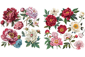 Set Of Vintage Floral Vector Bouquet