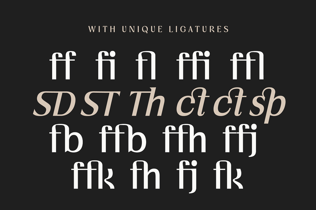 Vogera Minimal Editorial Serif, a Serif Font by Lettertype Studio (Photo 14 of 15)