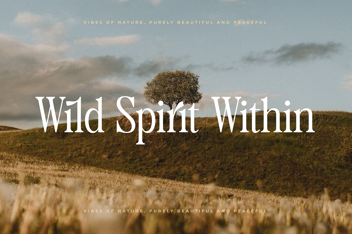 Magice Berries A New Modern Serif, a Serif Font by AmorfaType (Photo 8 of 10)