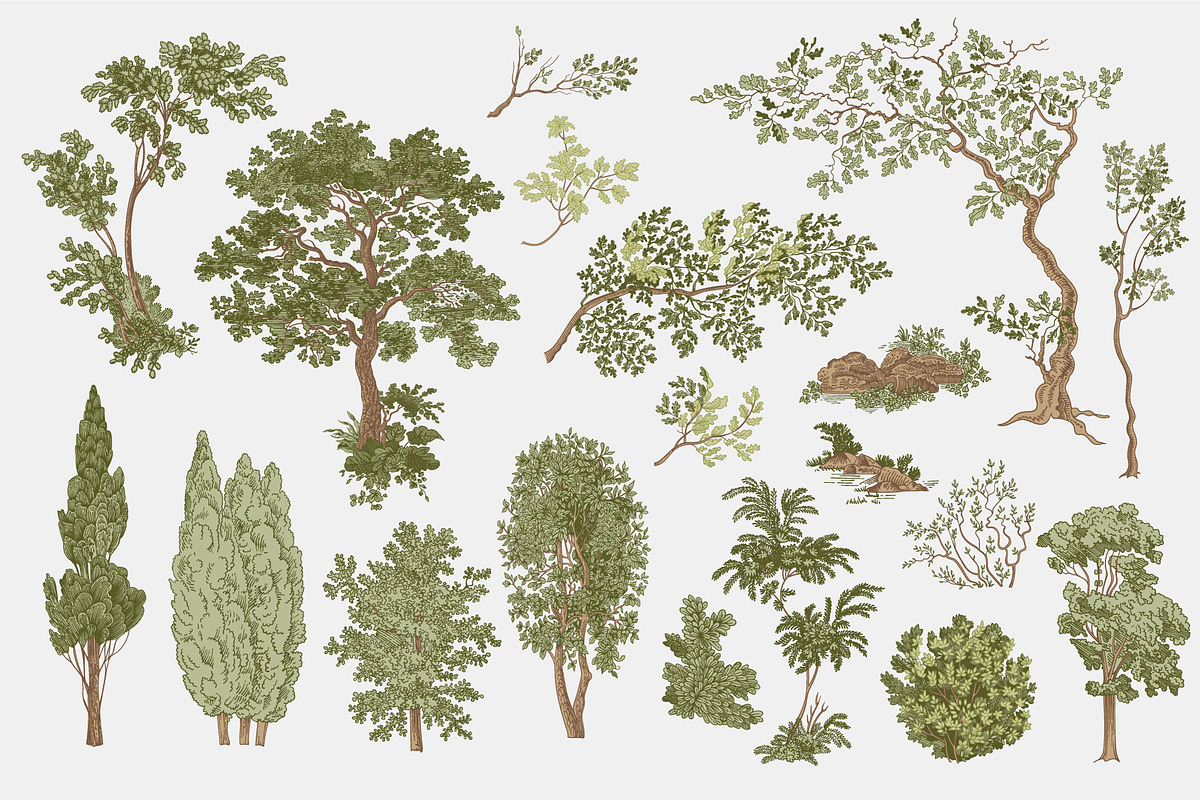 Woodland, a Decorative Illustration by olga.korneeva (Photo 4 of 12)