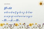 Ranoa Scaloth | Handwritten Script, a Script Font by gracetype_studio (Thumbnail 11 of 11)