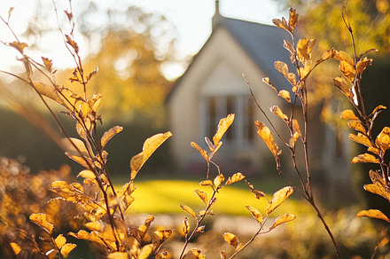 Autumn cottage in the English countryside style, old village arc, an Architecture Photo by Anneleven