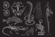 Afterlife Graphics Pack, an Object Graphic by Blaine Pate Studio (Thumbnail 4 of 4)