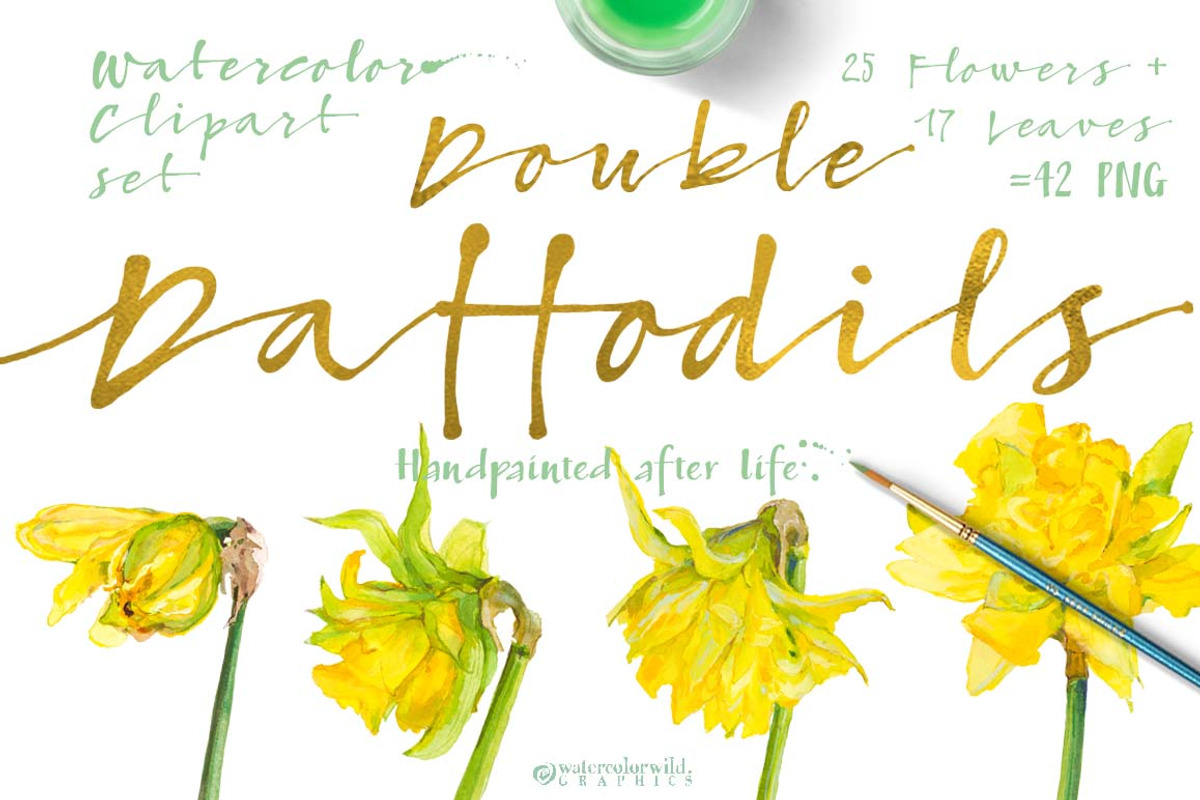 BUNDLE Golden-Yellow Flowers -85%, an Illustration by watercolorwild.graphics (Photo 8 of 12)