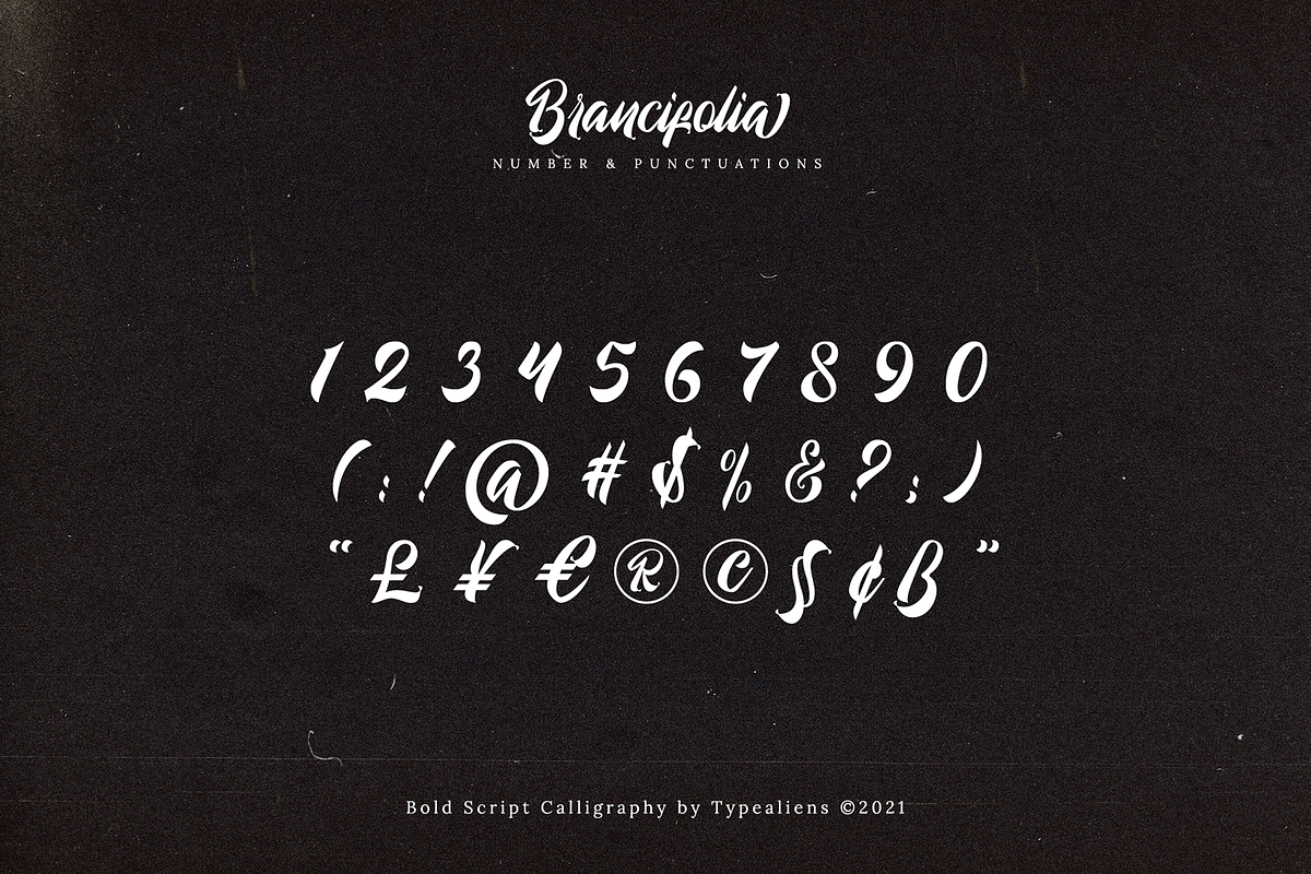 Brancifolia, a Script Font by ilhamtaro (Photo 8 of 11)