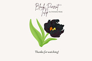 Black Parrot Tulip flower Vector, a Seasonal Illustration by Universe Mary (Thumbnail 7 of 7)