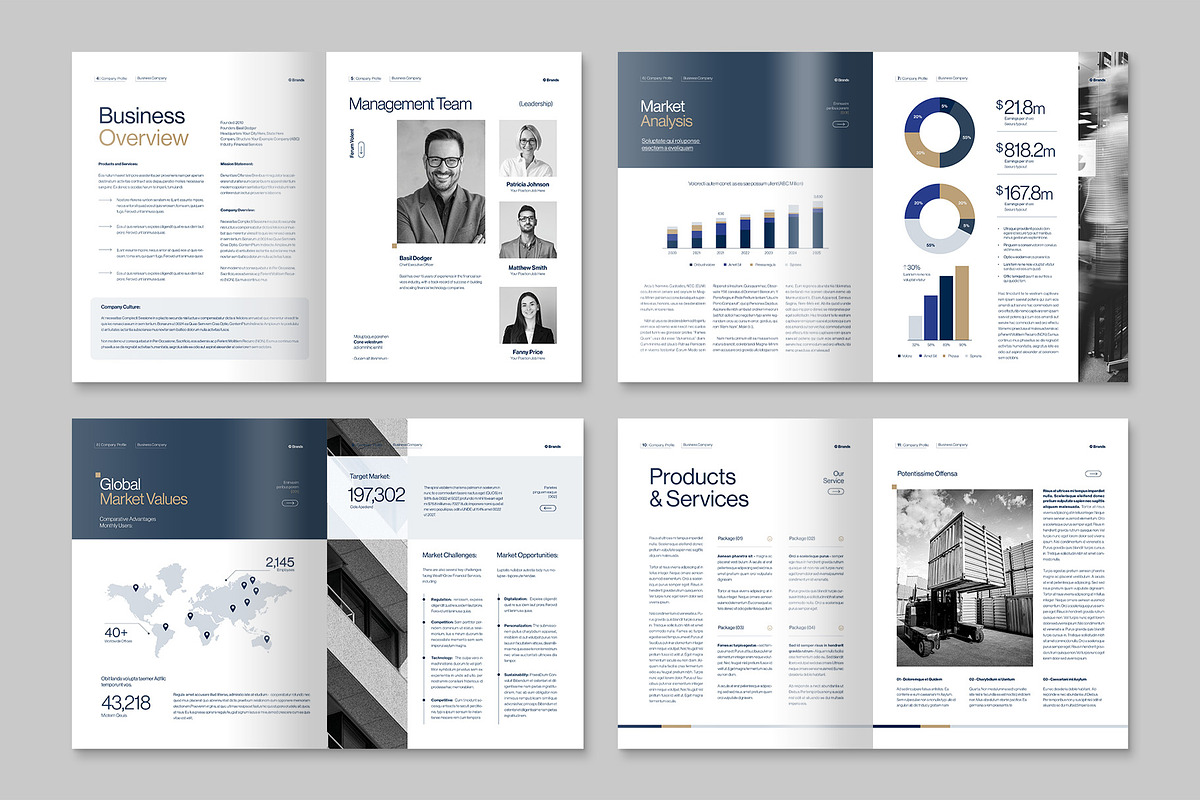 Business Plan Template, a Magazine Template by BrandPacks (Photo 3 of 6)