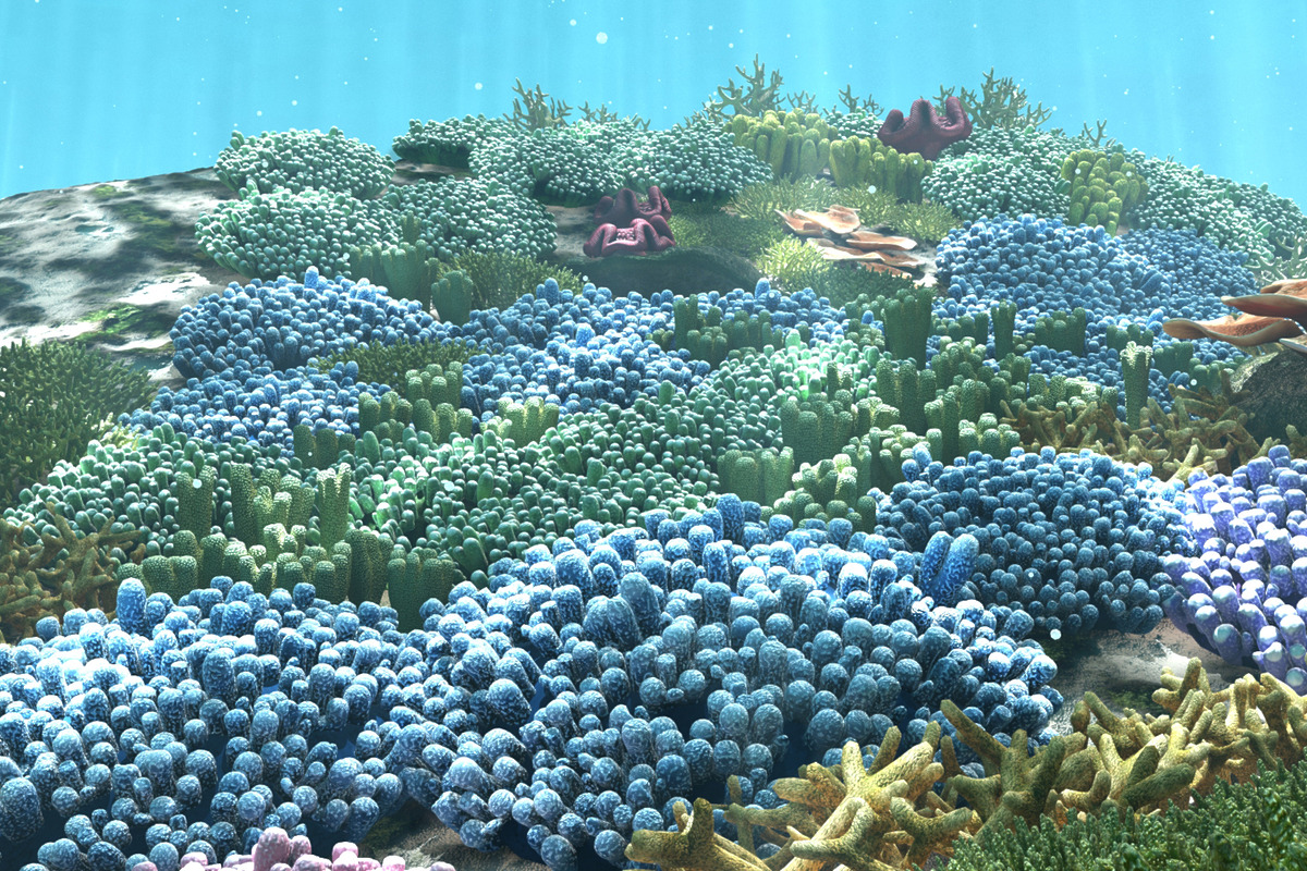 3D Cartoon Underwater Coral Reef Hab, an Environmental 3D Model by NOMODOL (Photo 2 of 24)