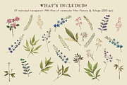 Watercolor Peonies & Foliage, an Illustration by Cynthia Arre (Thumbnail 6 of 7)