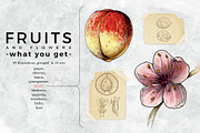 Fruits and Flowers Pack, an Illustration by Rafael (Thumbnail 3 of 6)