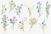 Knapweed and wildflowers collection, an Illustration by ReachDreams (Thumbnail 5 of 12)