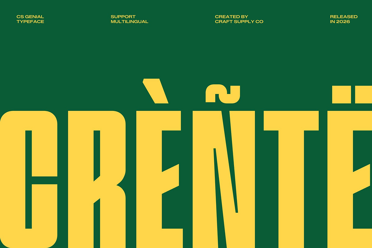 CS Genial – Condensed Font, a Sans Serif Font by Craft Supply Co. (Photo 8 of 9)