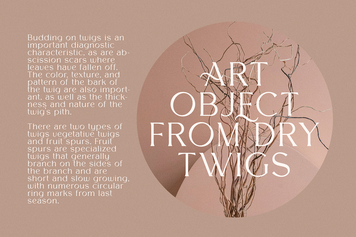 Melion, a Serif Font by OWL KING (Photo 10 of 13)