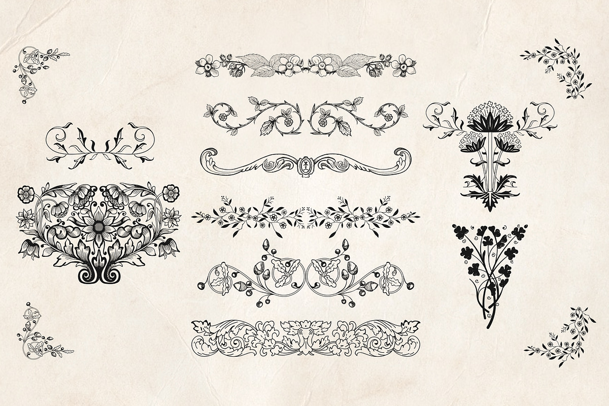 Hand drawn design elements, an Illustration by Piro Concept (Photo 5 of 5)