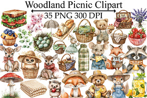 Woodland Picnic Clipart, an Illustration by Design Market