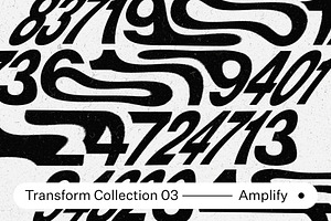 Transform Collection 03 - Amplify