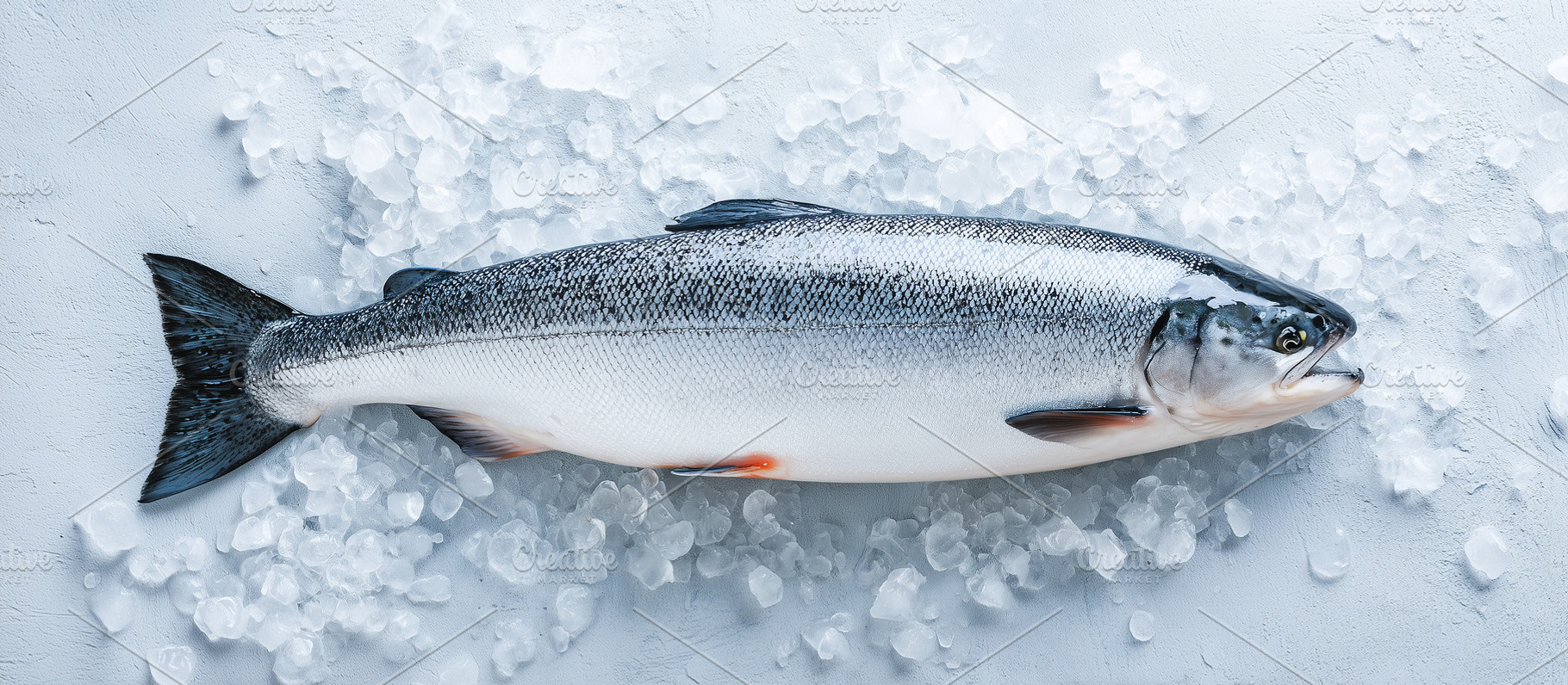 Whole fresh salmon lying on crushed, a Food & Drink Photo by MistyDay