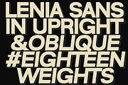 Lenia Sans Family | Intro 75% OFF, a Sans Serif Font by Lettertype Studio (Thumbnail 8 of 15)