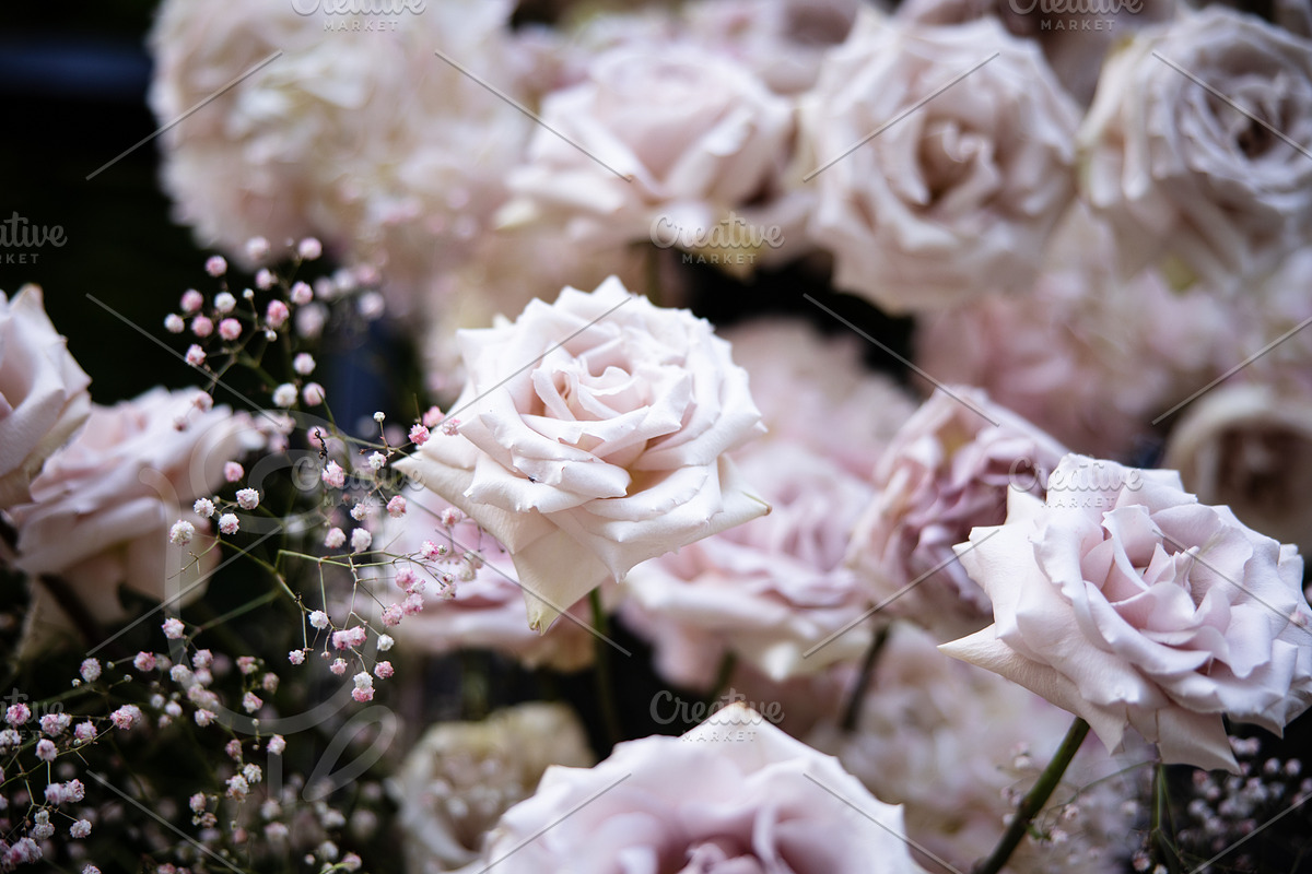 A Garden of Roses | Wedding, Events, a Nature Photo by Farewell (Photo 27 of 41)