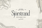 Alizee - Classy Hybrid Serif, a Serif Font by Harmonais Visual (Thumbnail 7 of 29)