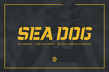 Sea Dog Bundle | Sports Display Font
