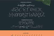 the Rochester // Beatiful Signature, a Font by typeline studio (Thumbnail 8 of 8)