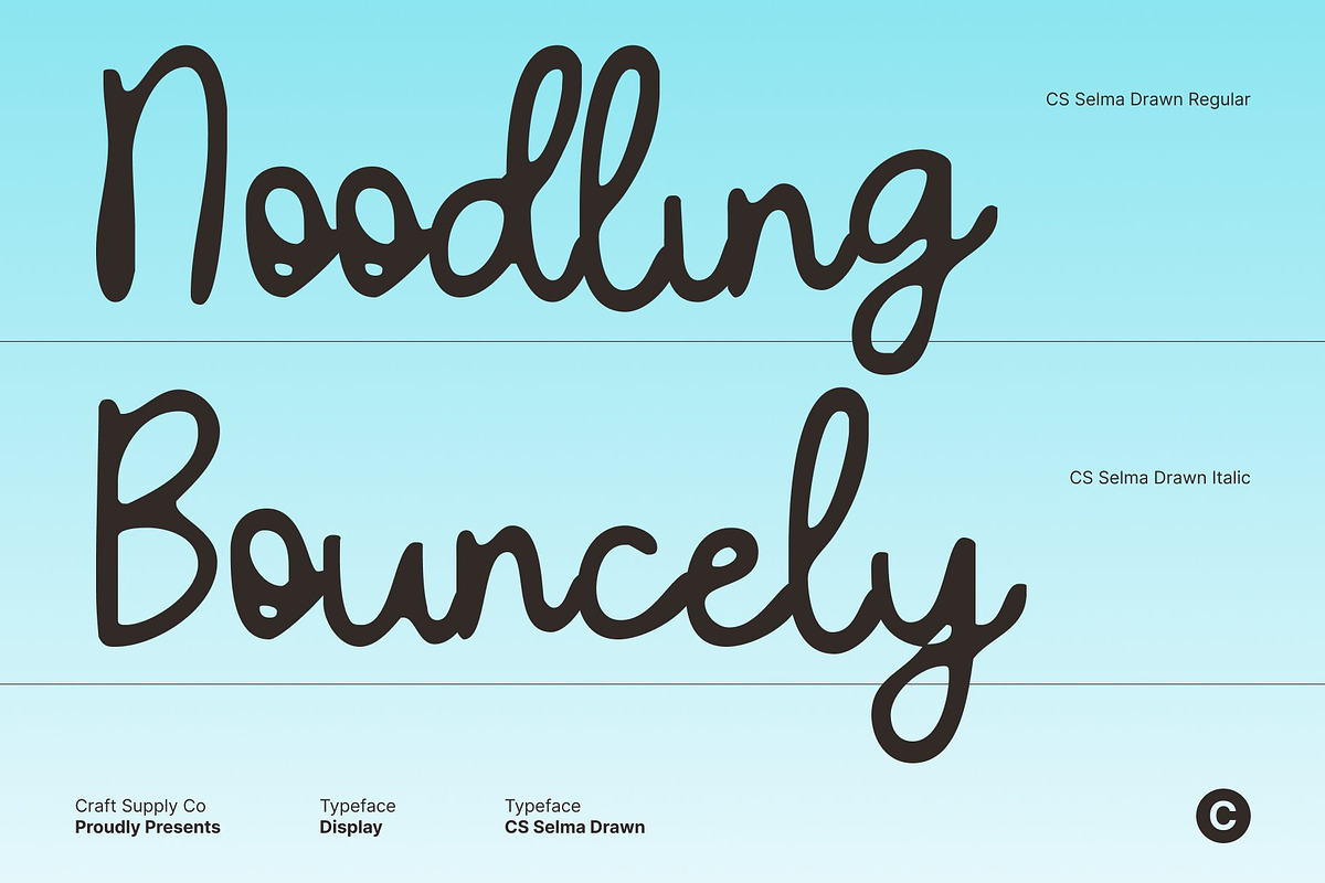 CS Selma Drawn, a Script Font by Craft Supply Co. (Photo 3 of 8)