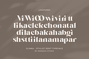 Glinka - A Stylist Serif Font, a Serif Font by zeenesia (Thumbnail 24 of 25)