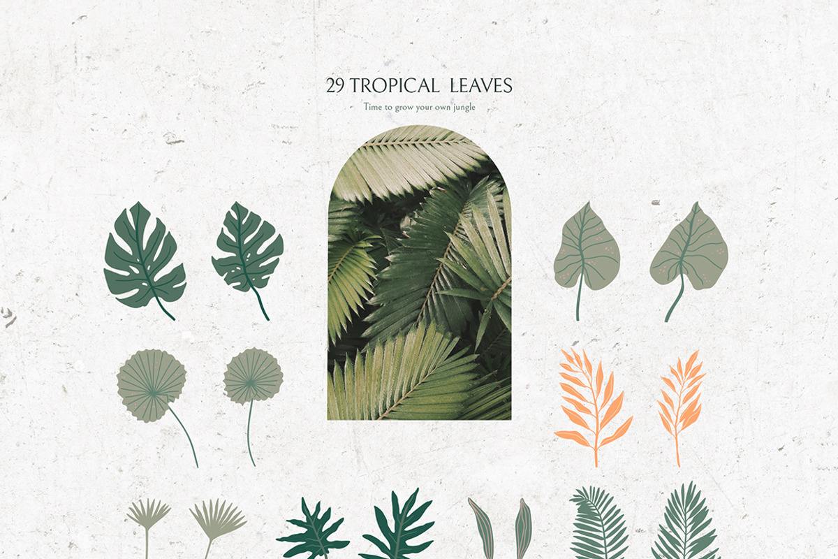 Gentle Tropics graphic kit, a Decorative Illustration by Dinkoobraz (Photo 15 of 17)