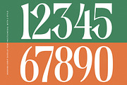 Mequnch Modern Serif Display Font, a Serif Font by timelesstype.co (Thumbnail 17 of 20)