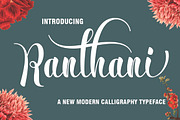 BIG BUNDLE FON SCRIPT, a Font by Jhoen (Thumbnail 4 of 19)