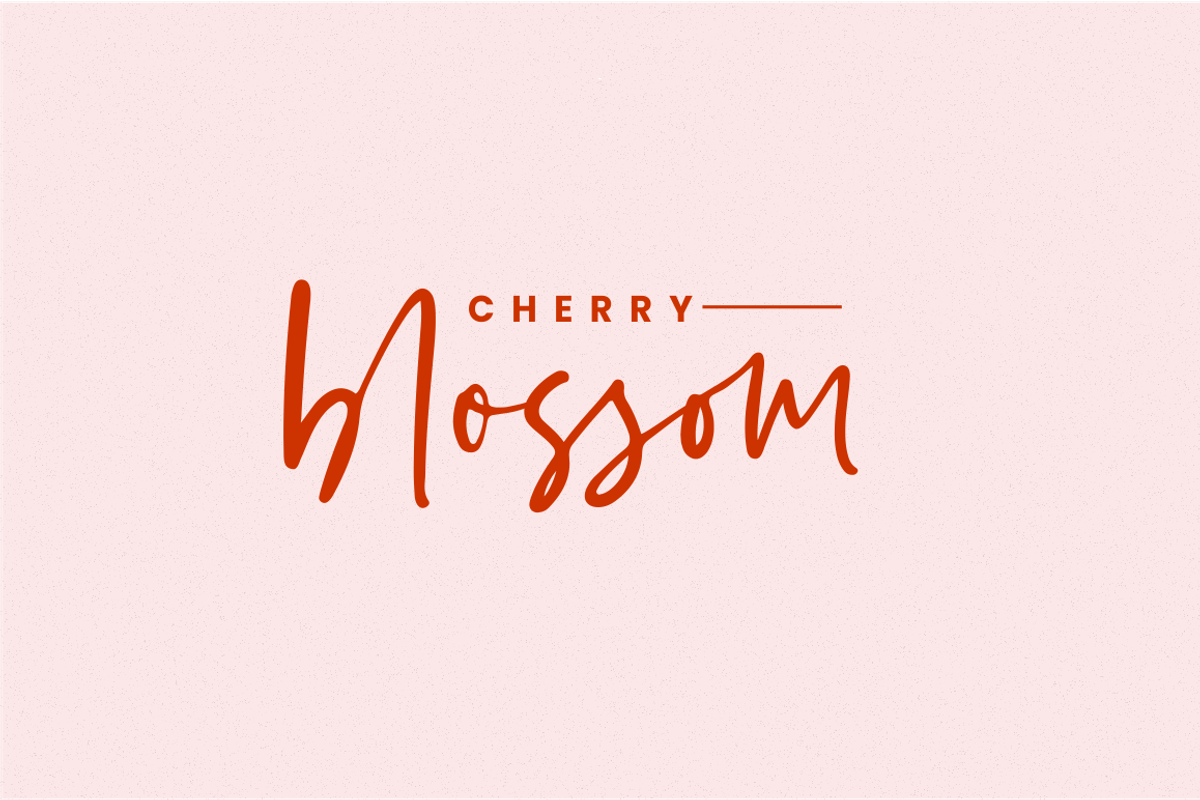 Kaileigh - Casual Script, a Script Font by Sronstudio (Photo 4 of 13)